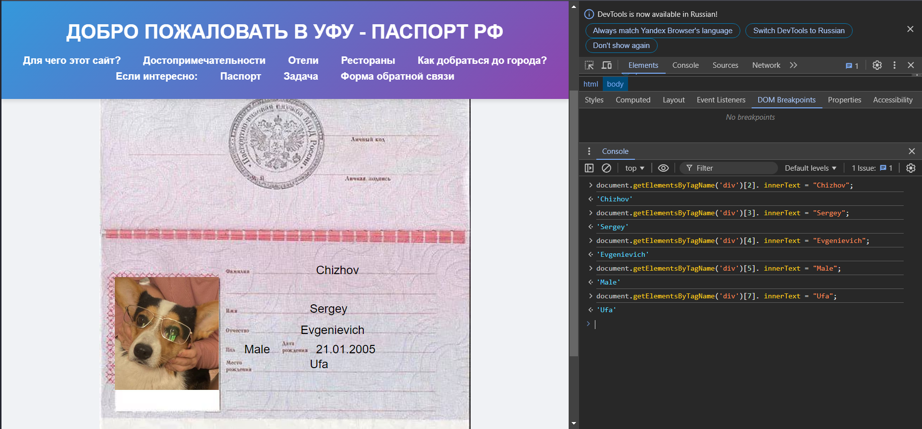Паспорт РФ